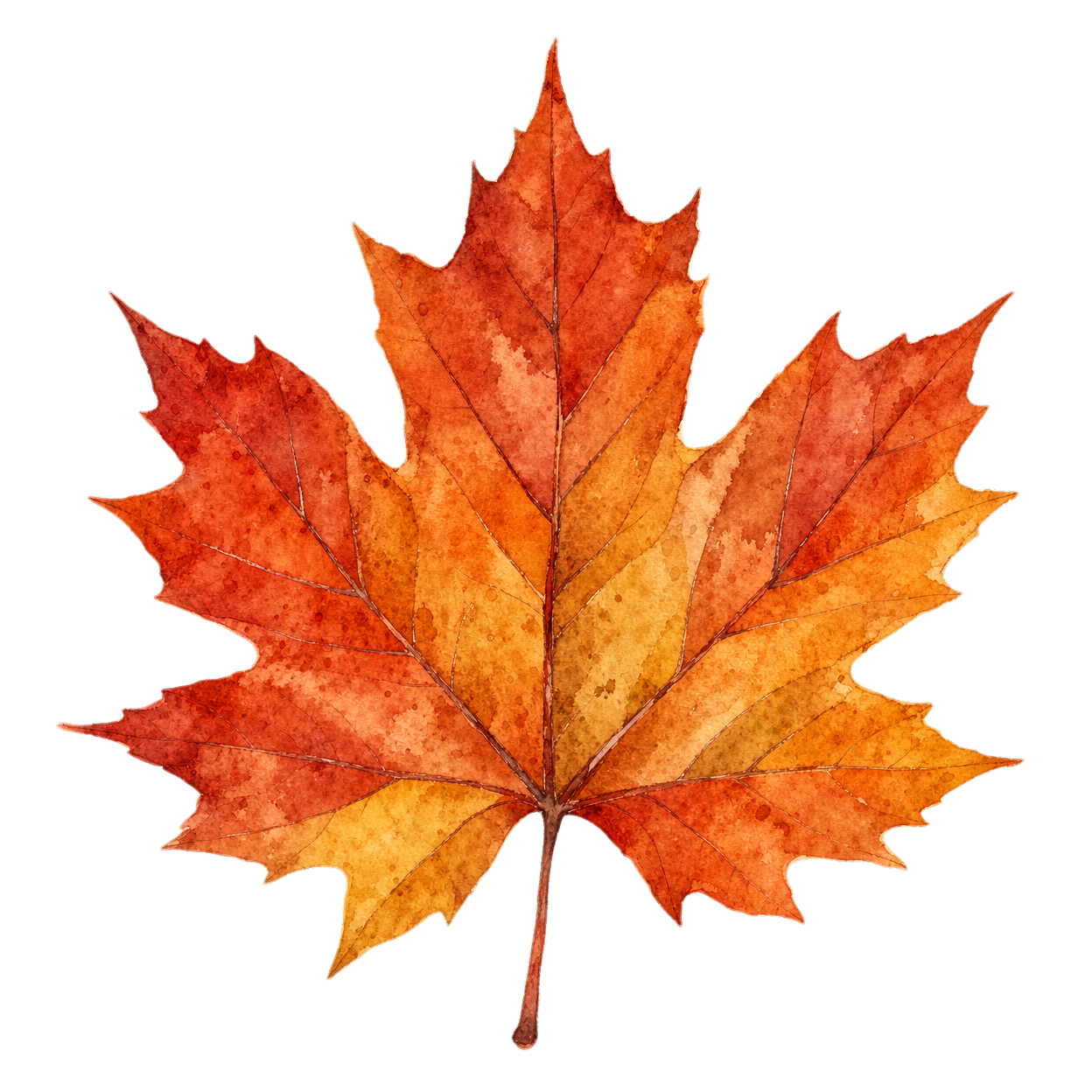 leaf watercolor illustration